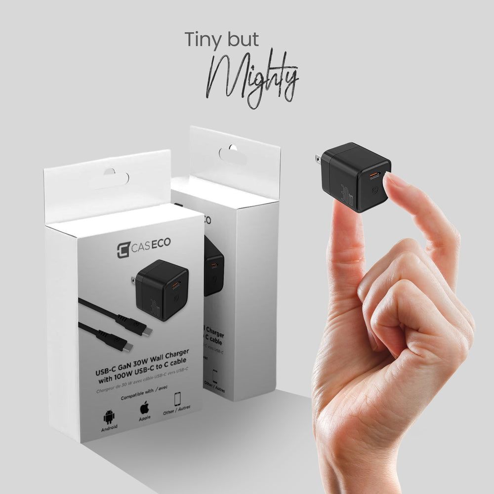 GaN 30W Wall Charger with 100W Type C to Type C Cable