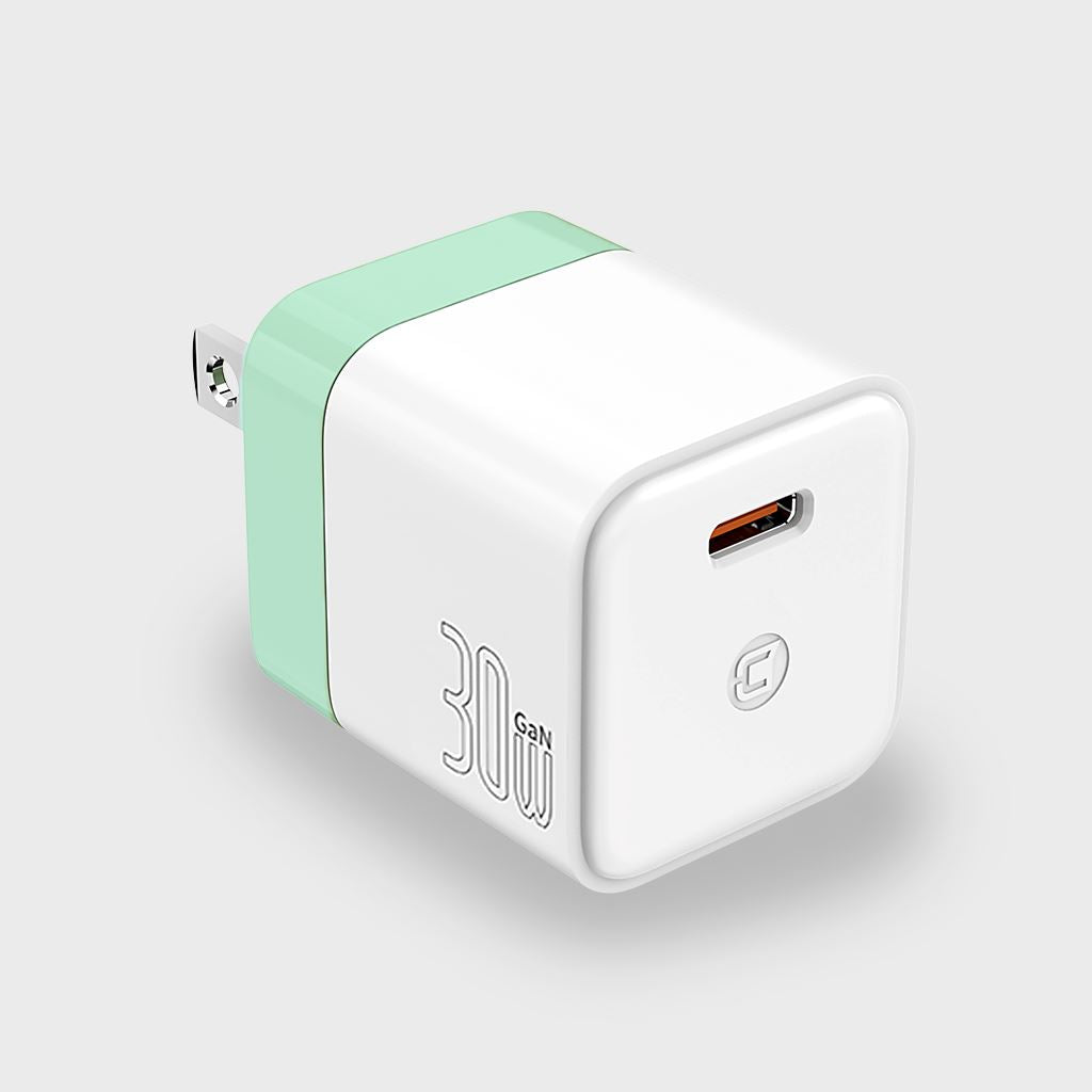 GaN 30W Wall Charger with 100W Type C to Type C Cable - Pastel Green