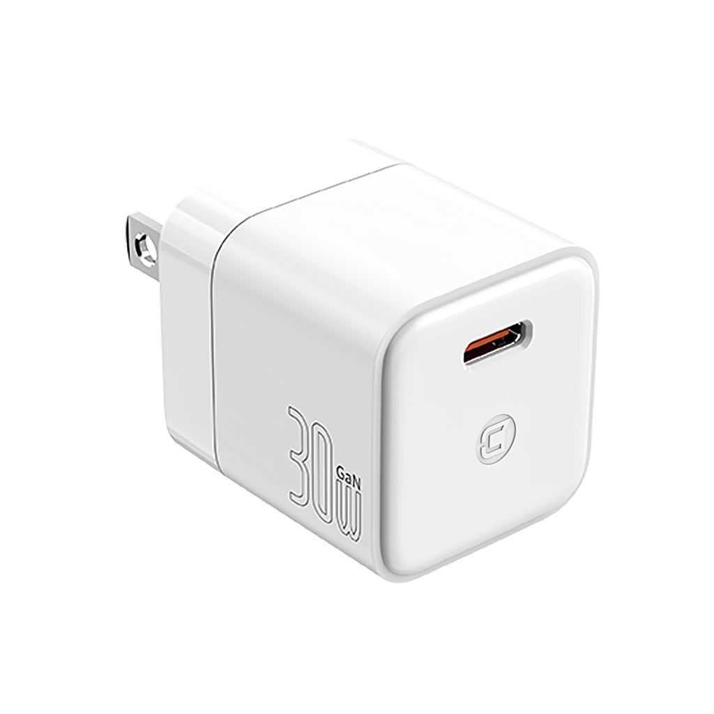 GaN 30W Wall Charger with 100W Type C to Type C Cable - White
