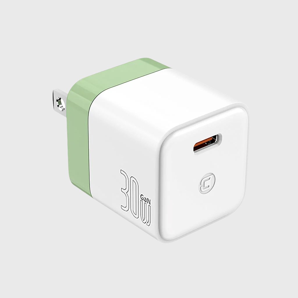 GaN 30W Wall Charger with 100W Type C to Type C Cable - Pastel Green