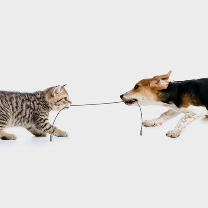 Pet Proof Metal Braided Lightning Cable - 2 Meter